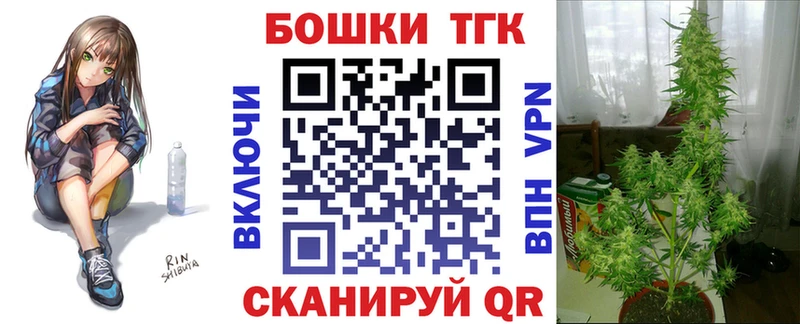 Конопля сатива  Злынка 